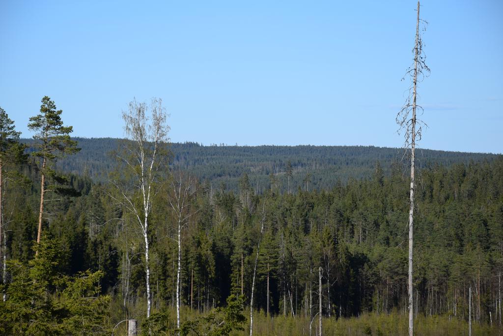 Kronobo Marieholm  Extérieur photo
