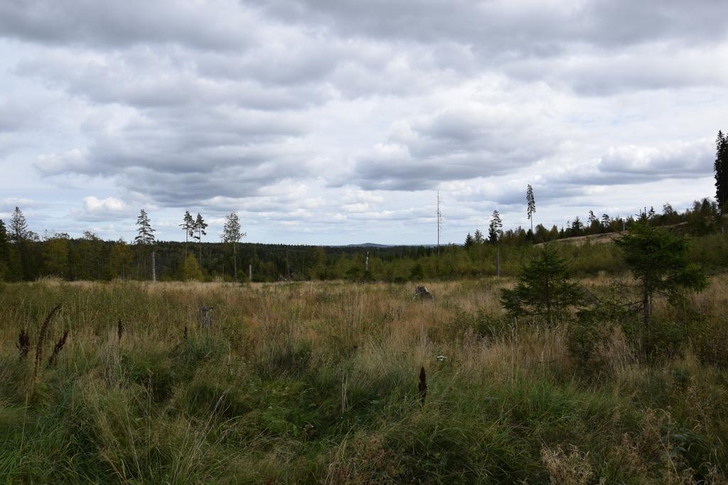 Kronobo Marieholm  Extérieur photo